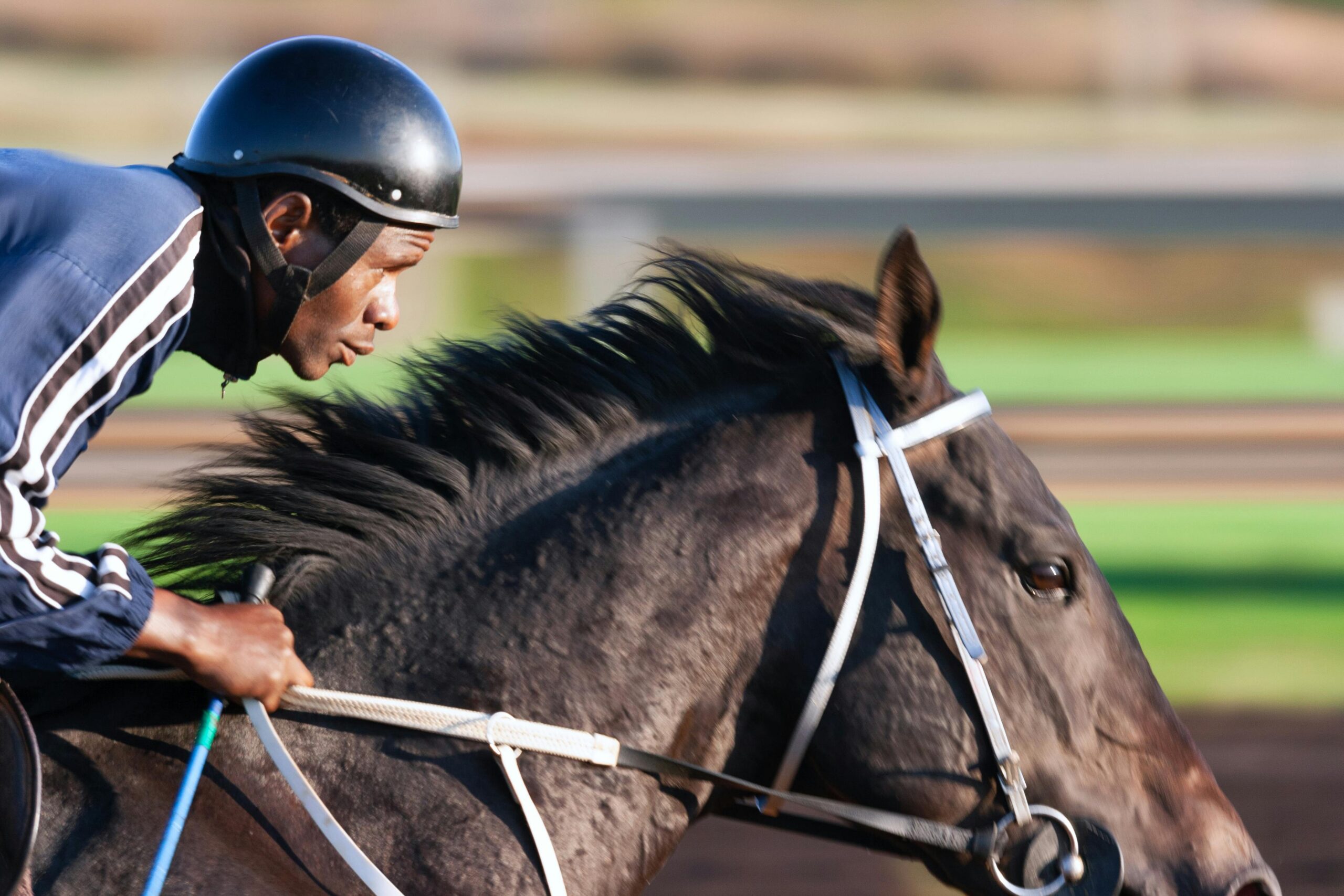 Hit Show Books Breeders’ Cup Spot, Via Sistina Equals Group 1 Record