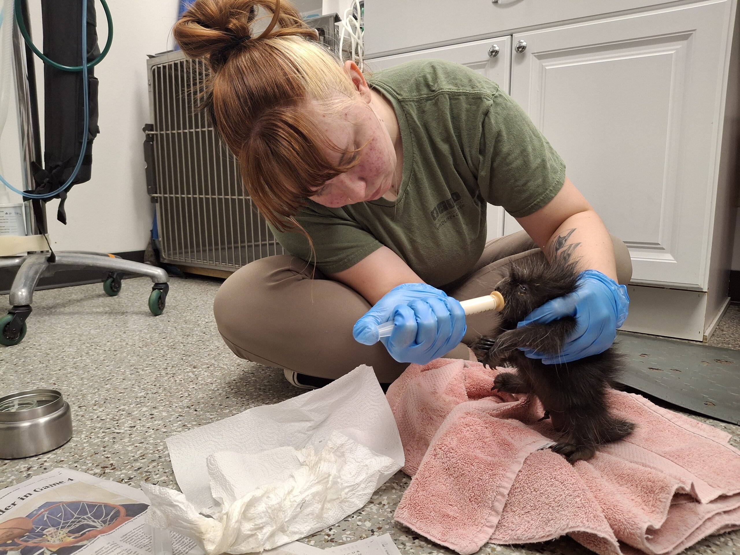 Northern Colorado Wildlife Center Celebrates Double Win in 2025 Community Votes Awards