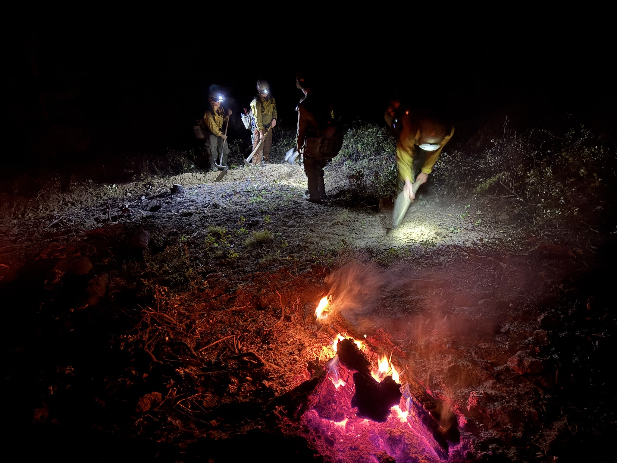 Quick Response Halts Multiple Wildfires in Larimer County