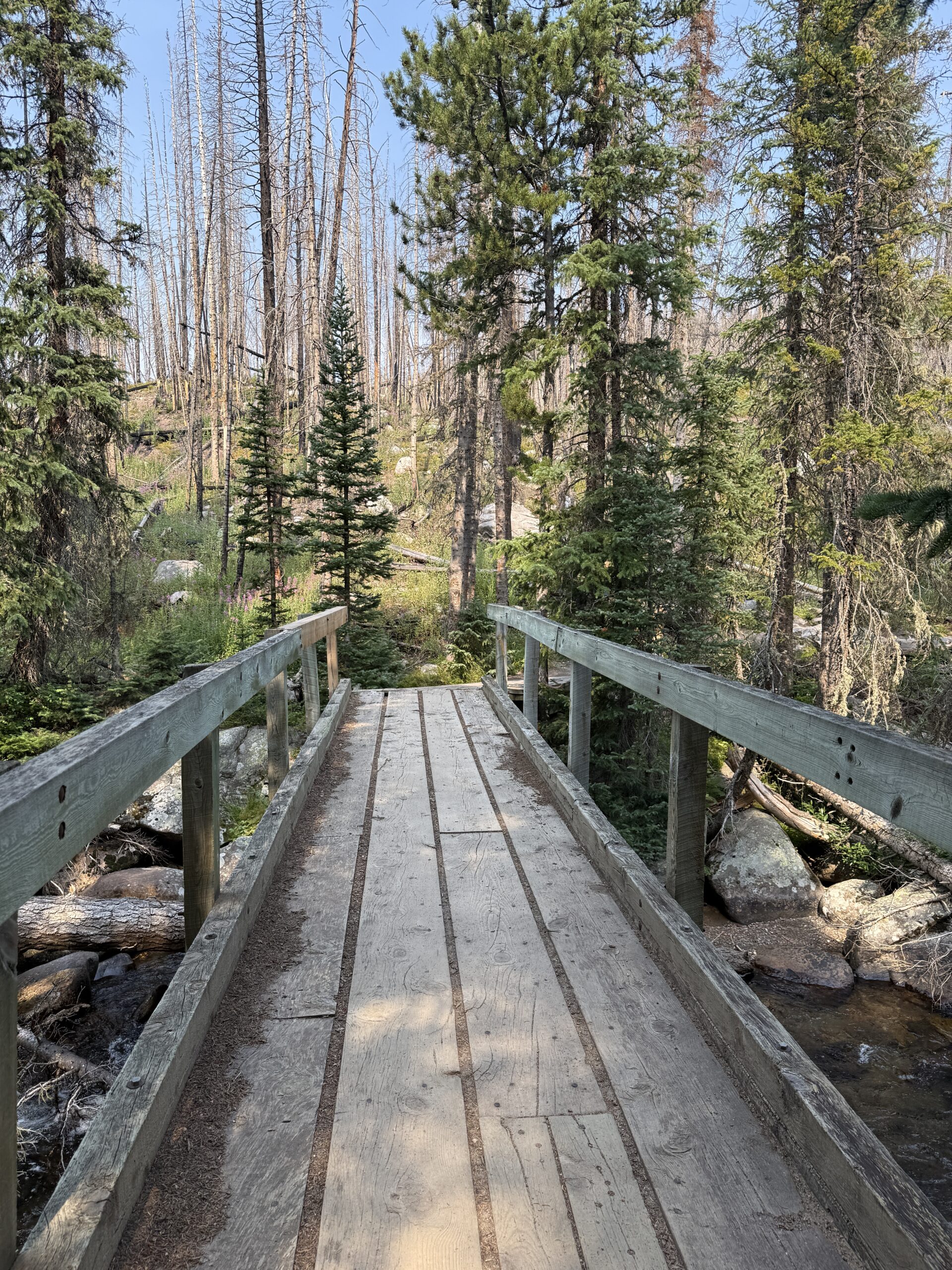 From Blue Lake to Back-to-School: Northern Colorado’s Season of Change