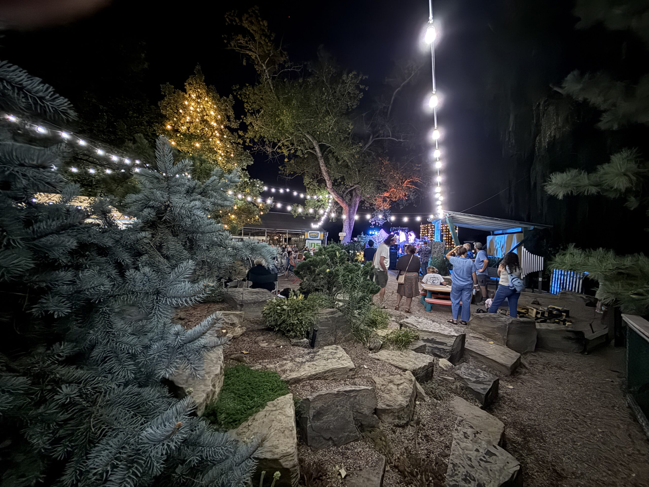 Community, Remembrance, and Resilience Shine Across Northern Colorado This Week