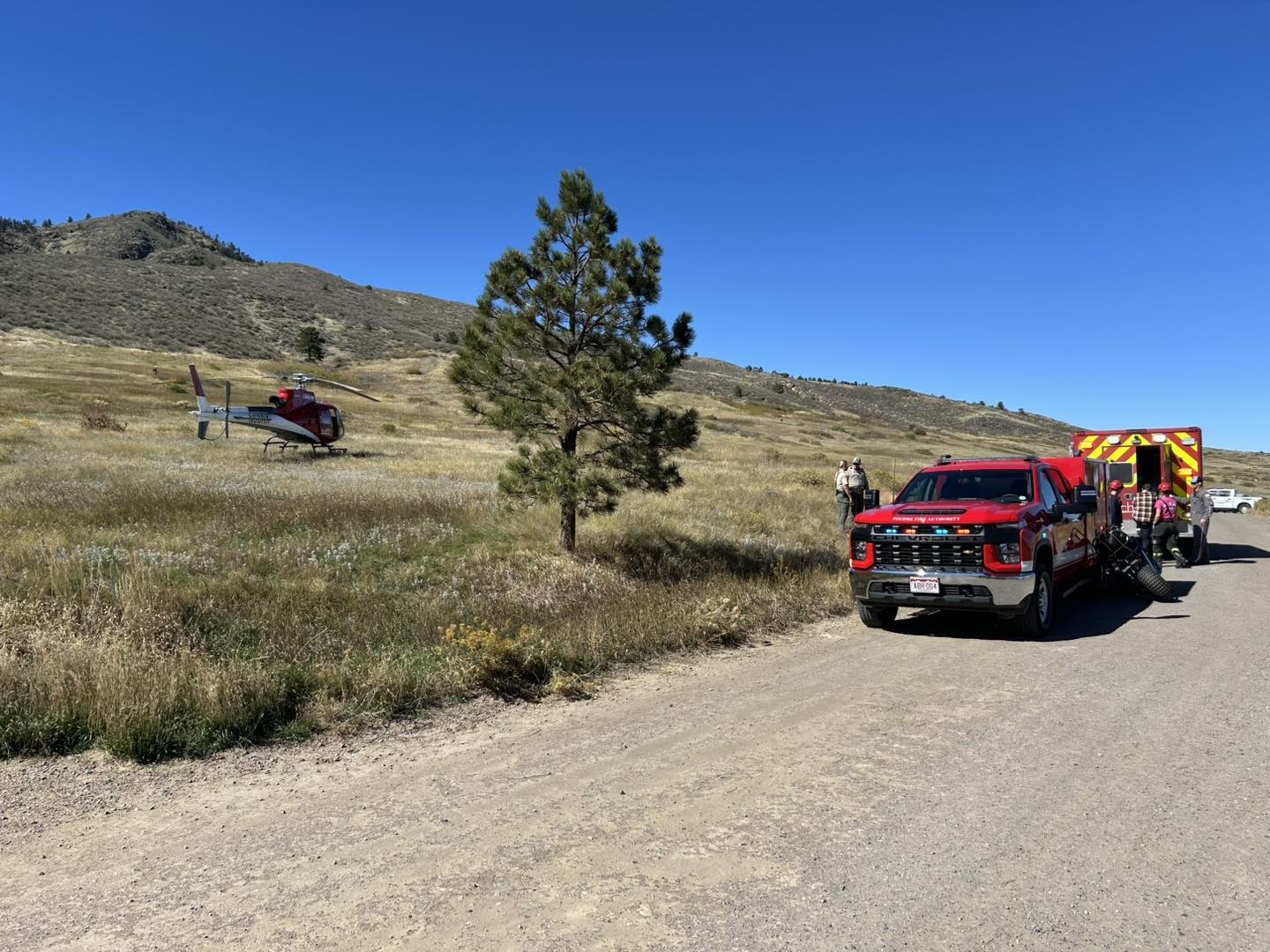 Rattlesnake Bite at Lory State Park Prompts Airlift for Antivenom Treatment