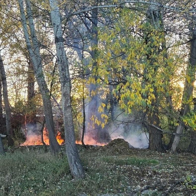 Lawnmower Sparks Small Wildfire Near Fort Collins Homes