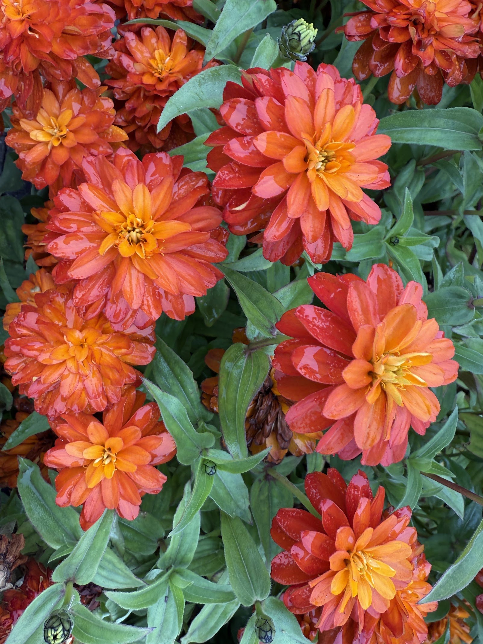 Finding Light in the Shorter Days