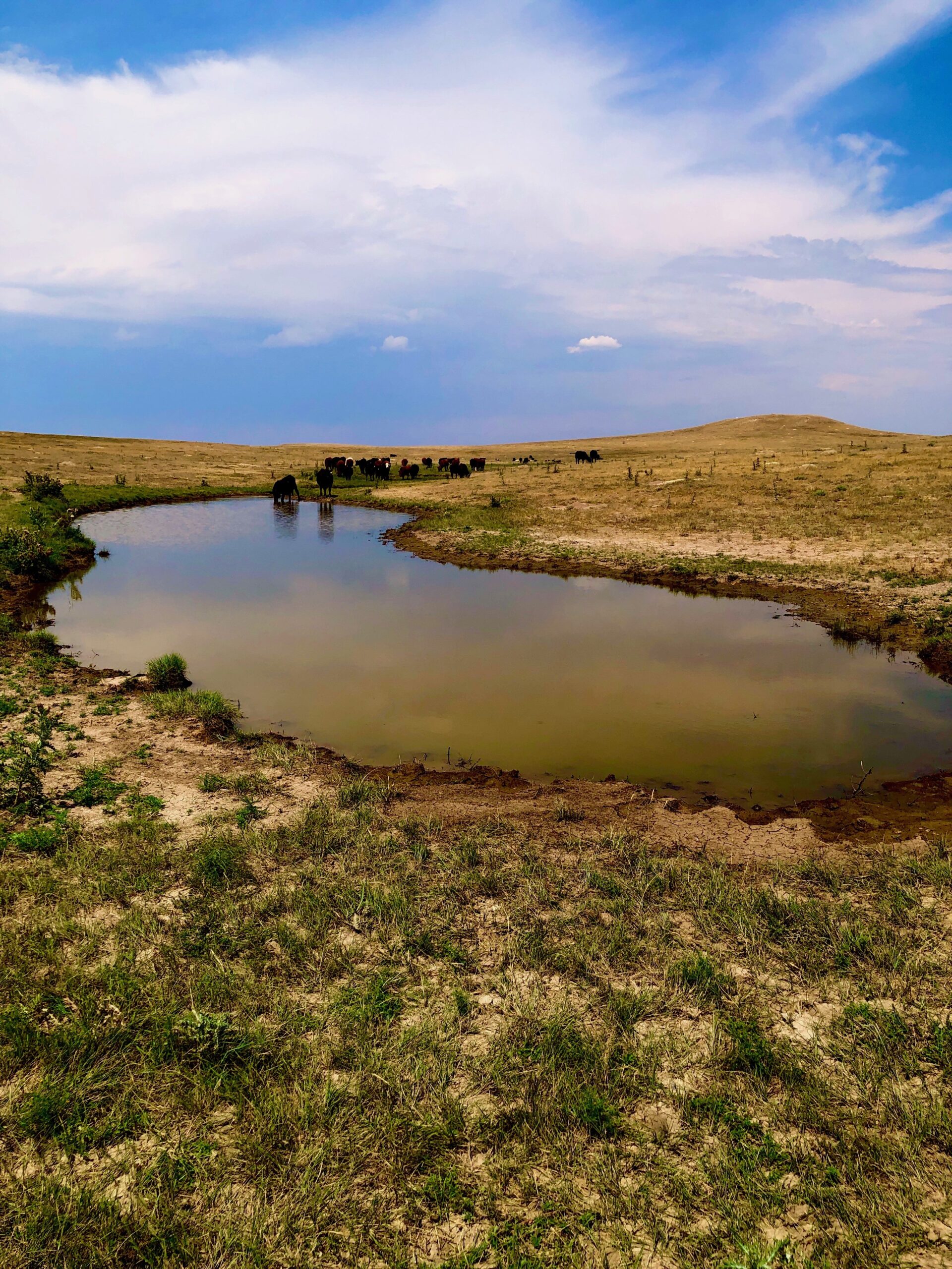 Chevron Donates 131 Acres to Colorado Youth Outdoors for Long-Term Conservation