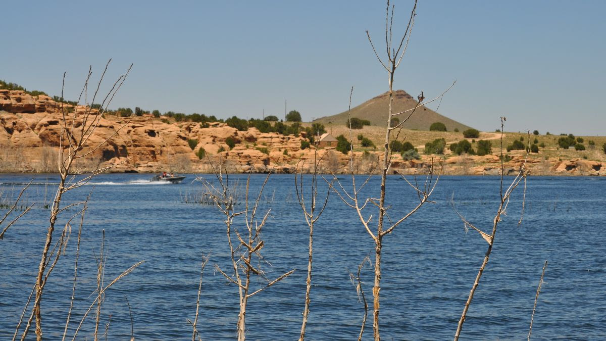 Emergency Fish Salvage Ordered at Two Buttes Reservoir as Water Levels Drop