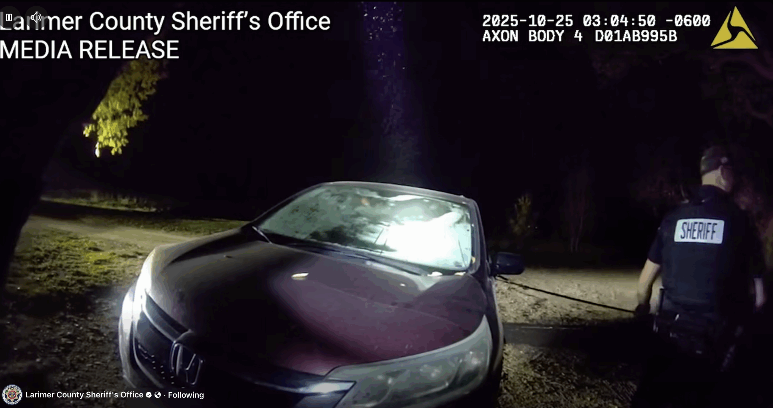 Bear Freed from Vehicle in Larimer County Foothills