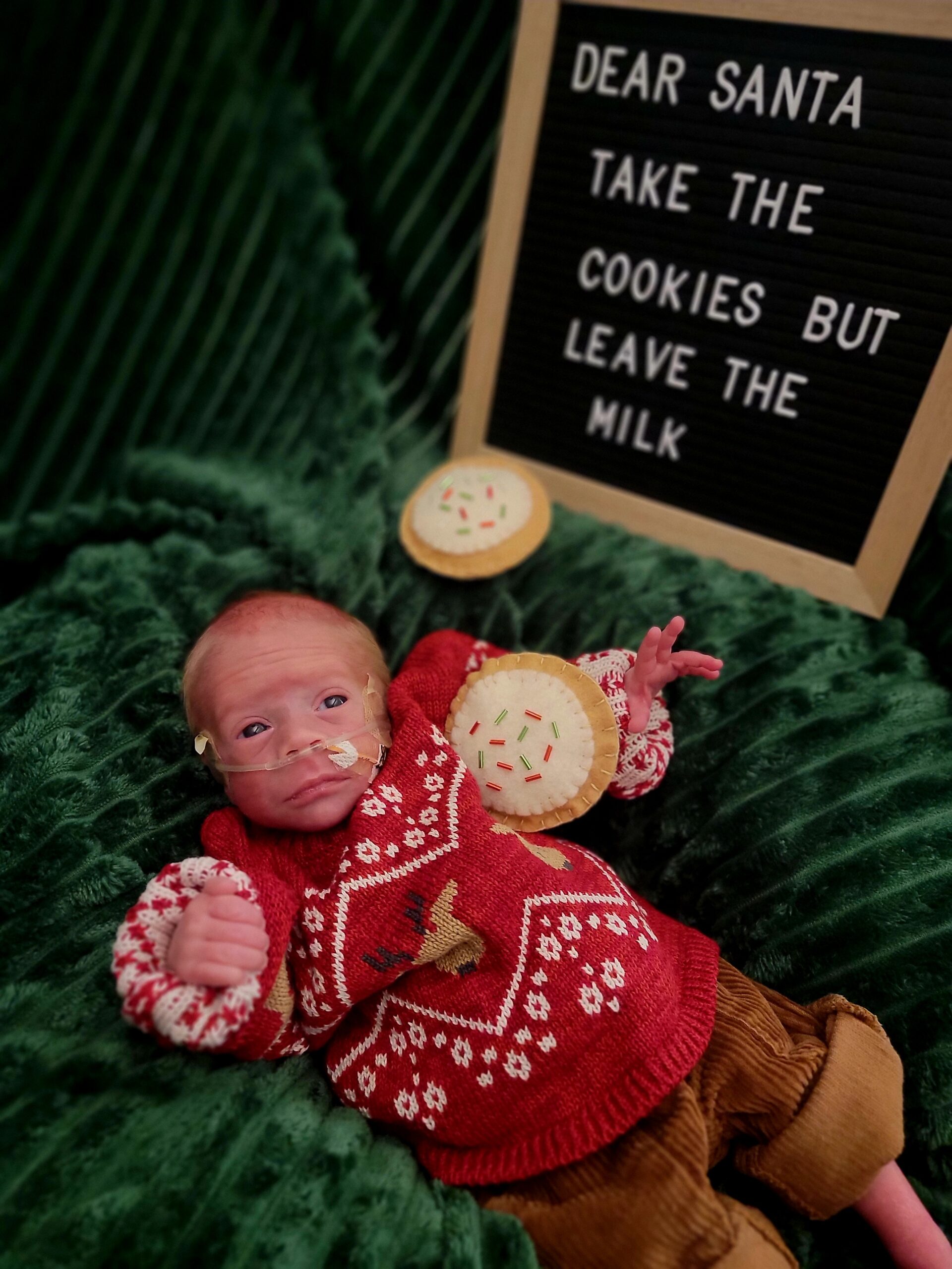 NICU Babies Bring Holiday Cheer