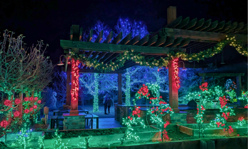Garden of Lights Returns to Brighten Northern Colorado