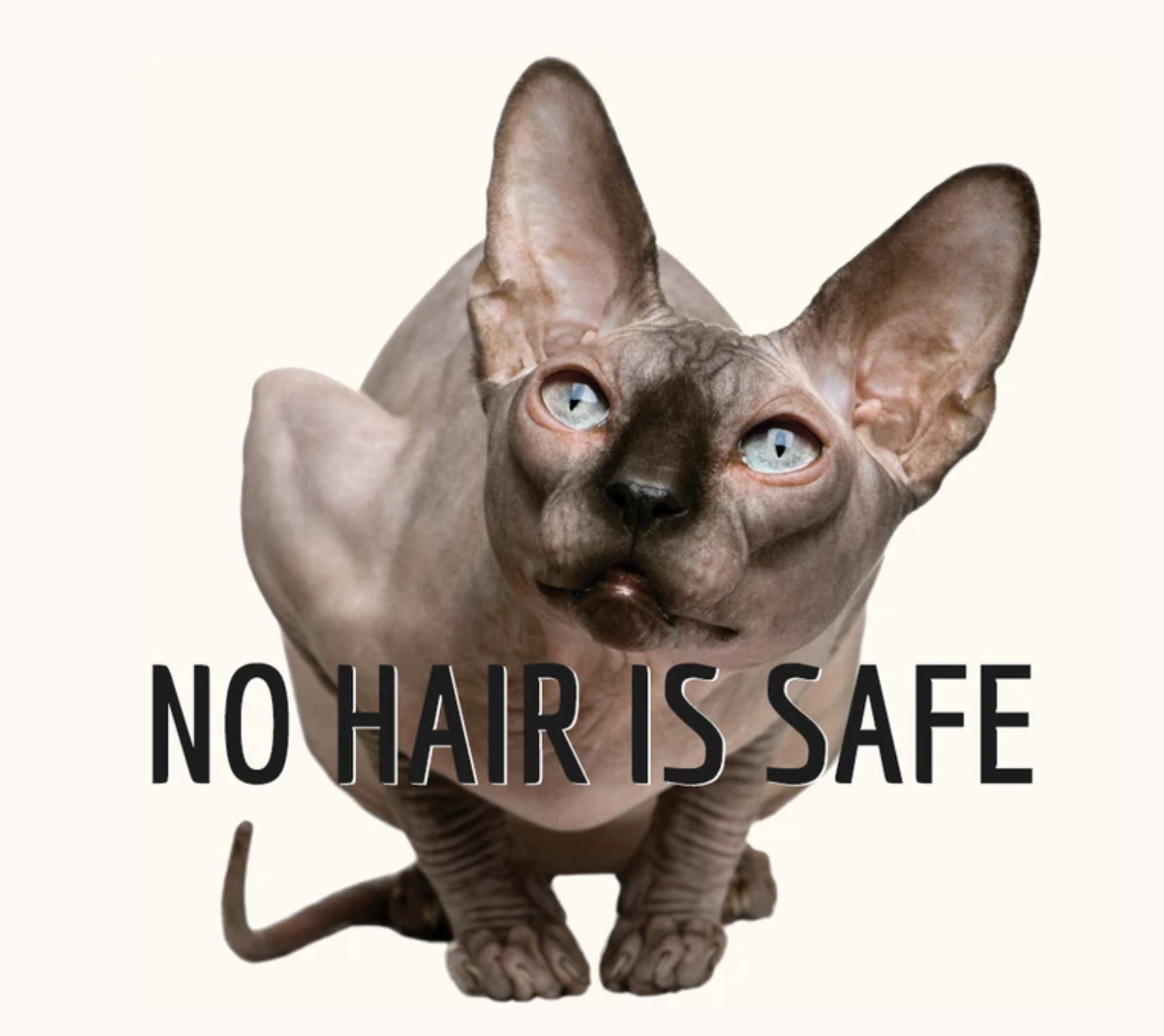 Screamin Peach Celebrates 20 Years