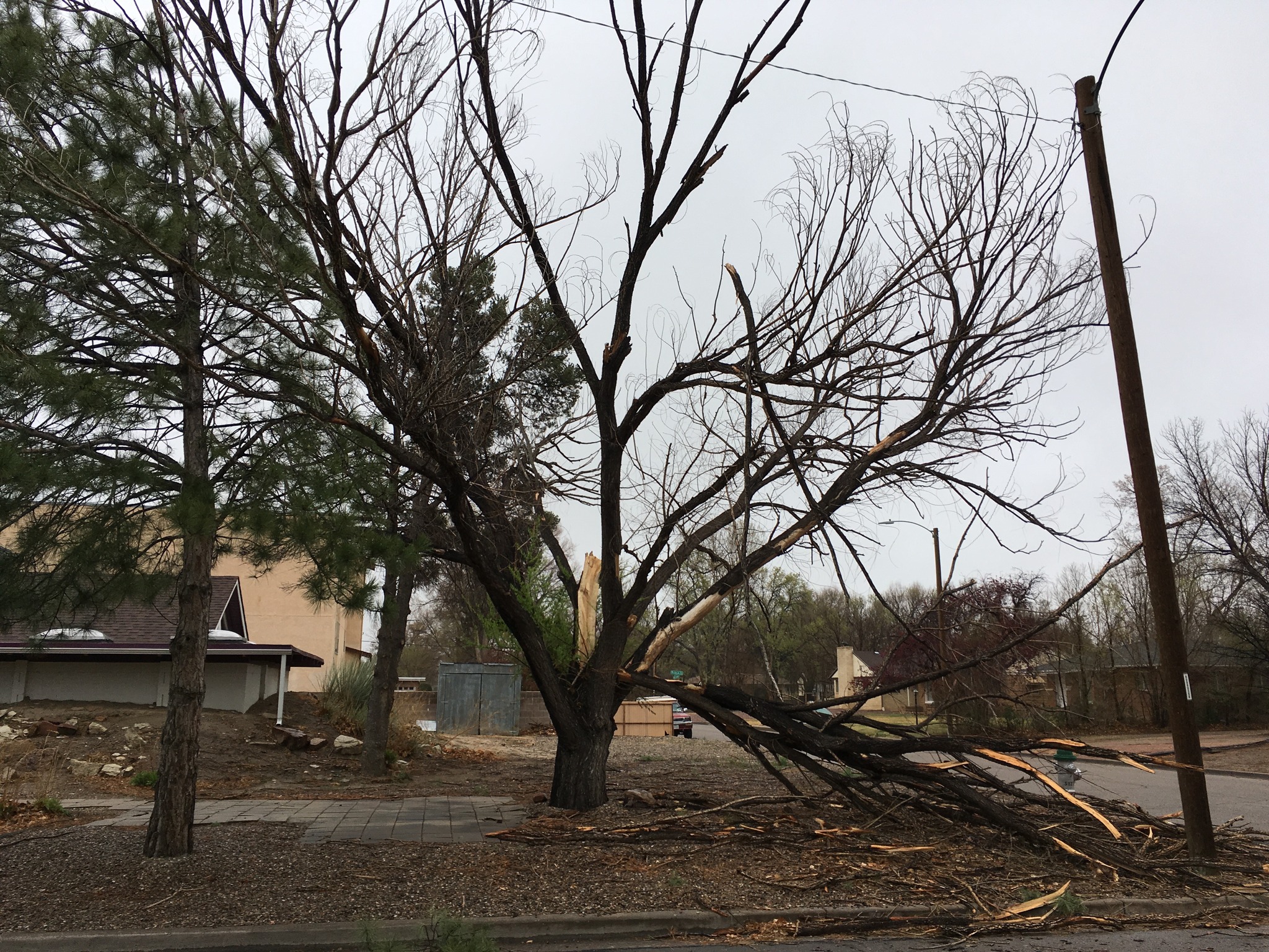 Colorado State University Closes Campuses After High Winds