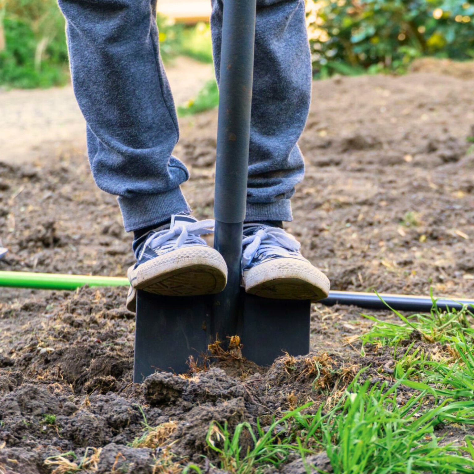 Timnath Residents Invited To Replace Lawns