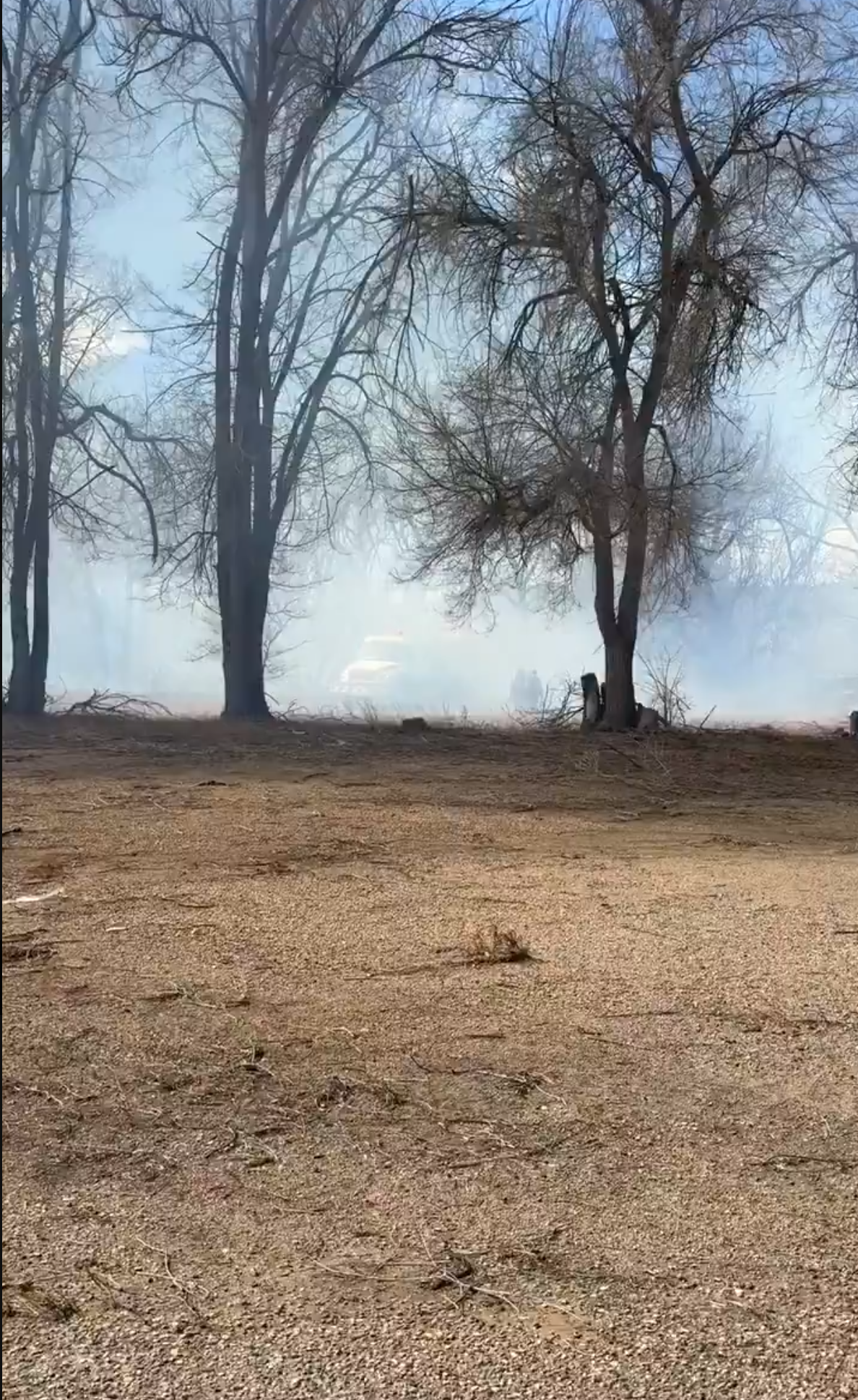 High Winds Trigger Closures And Evacuations