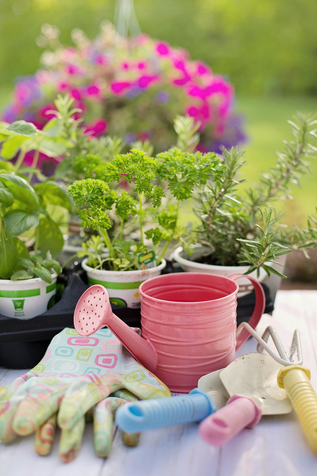 Spring Checklist to Get Your Garden Ready for the Season