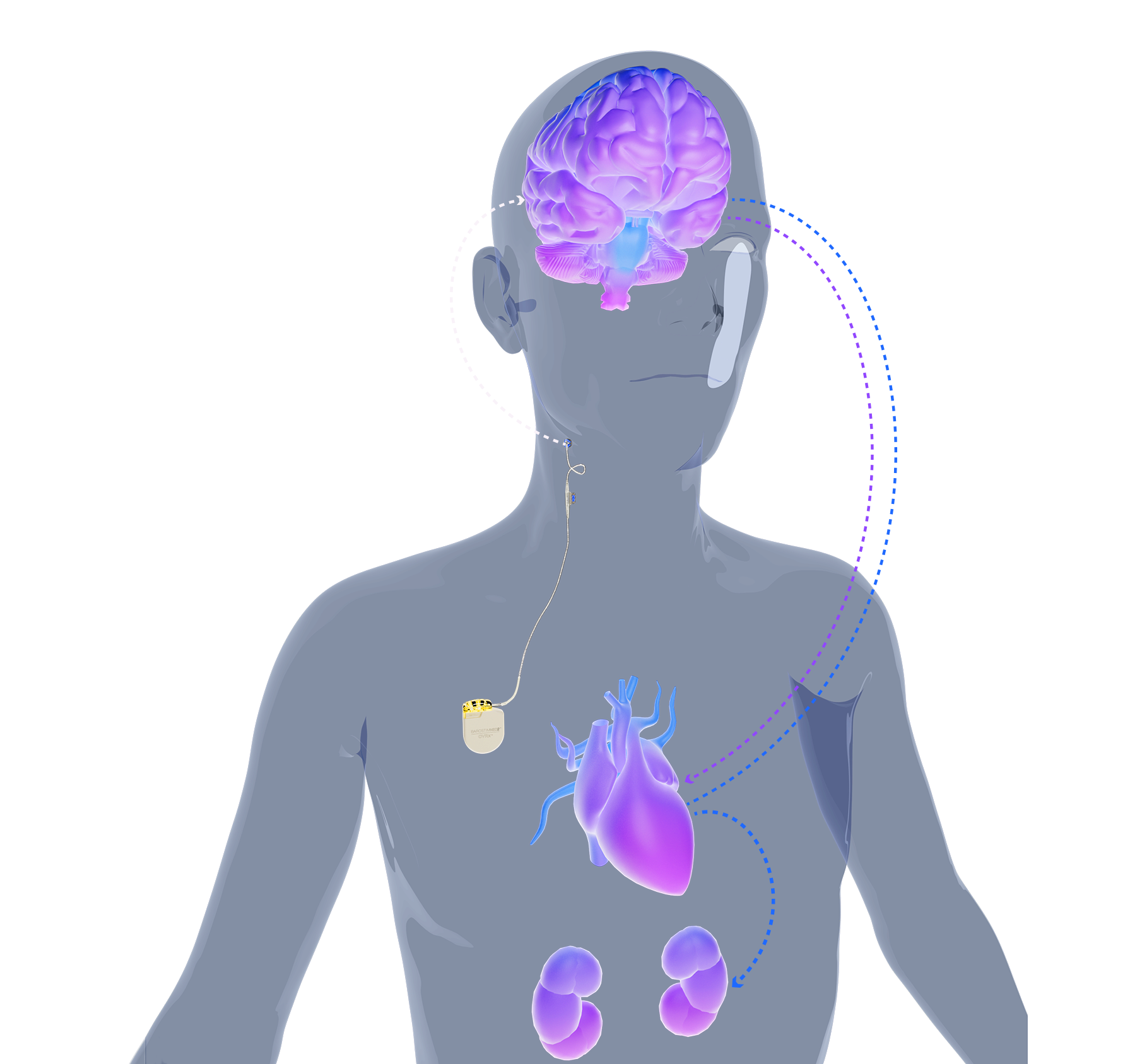 Advanced Heart Therapy Now Available in Greeley