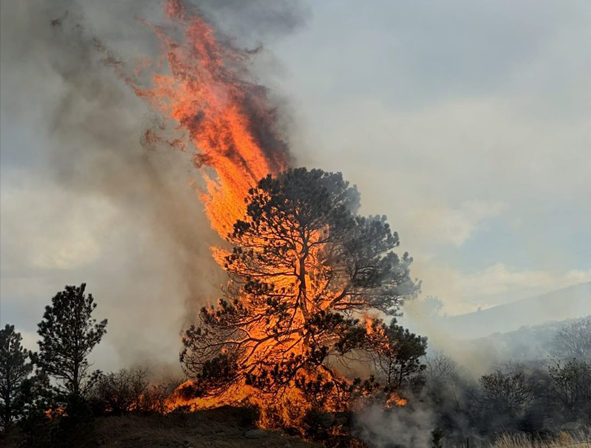 Ponds Fire Contained Near Fort Collins