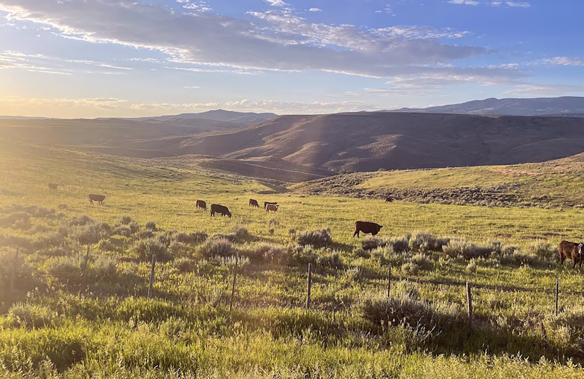 Colorado State Extension Hosts Drought Workshops