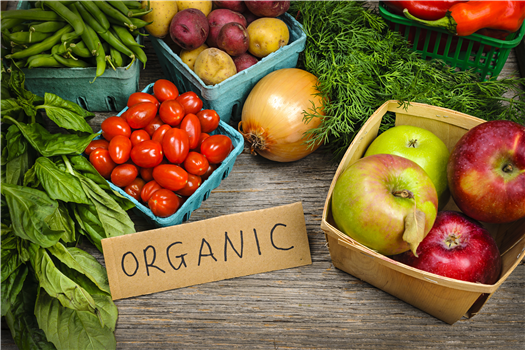 Greeley Farmers Market Returns to Lincoln Park