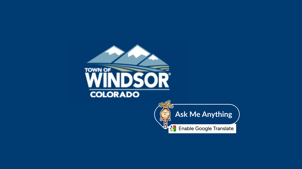 Windsor Launches Artificial Intelligence Website Assistant Tool