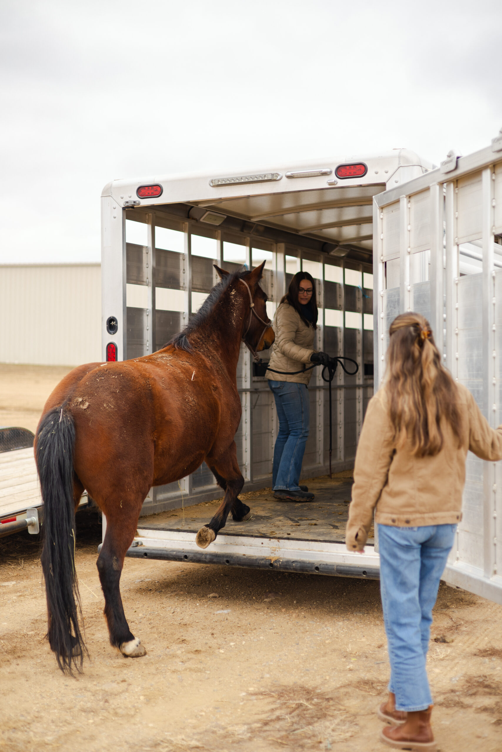 Free Platform Speeds Horse Evacuations During Wildfires