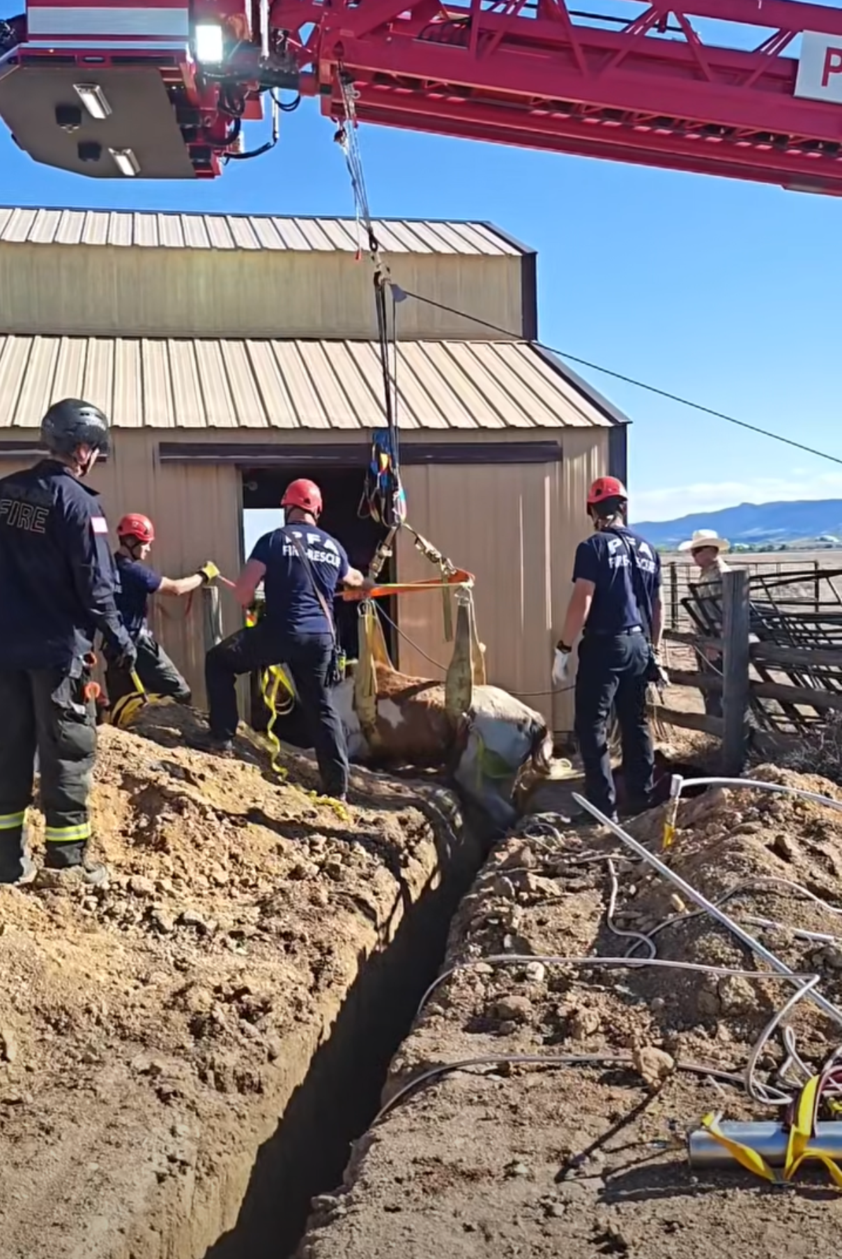 Fire Crews Rescue Horse In Fort Collins