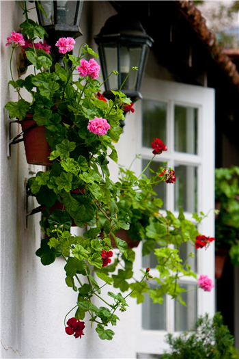 Loveland Garden Tour Highlights Resilient Gardens