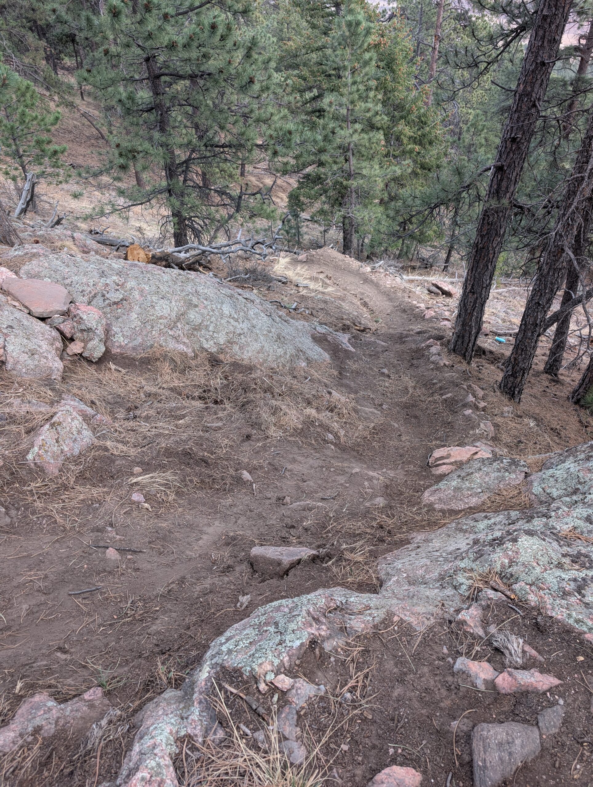 Unauthorized Trails Removed At Horsetooth Open Space
