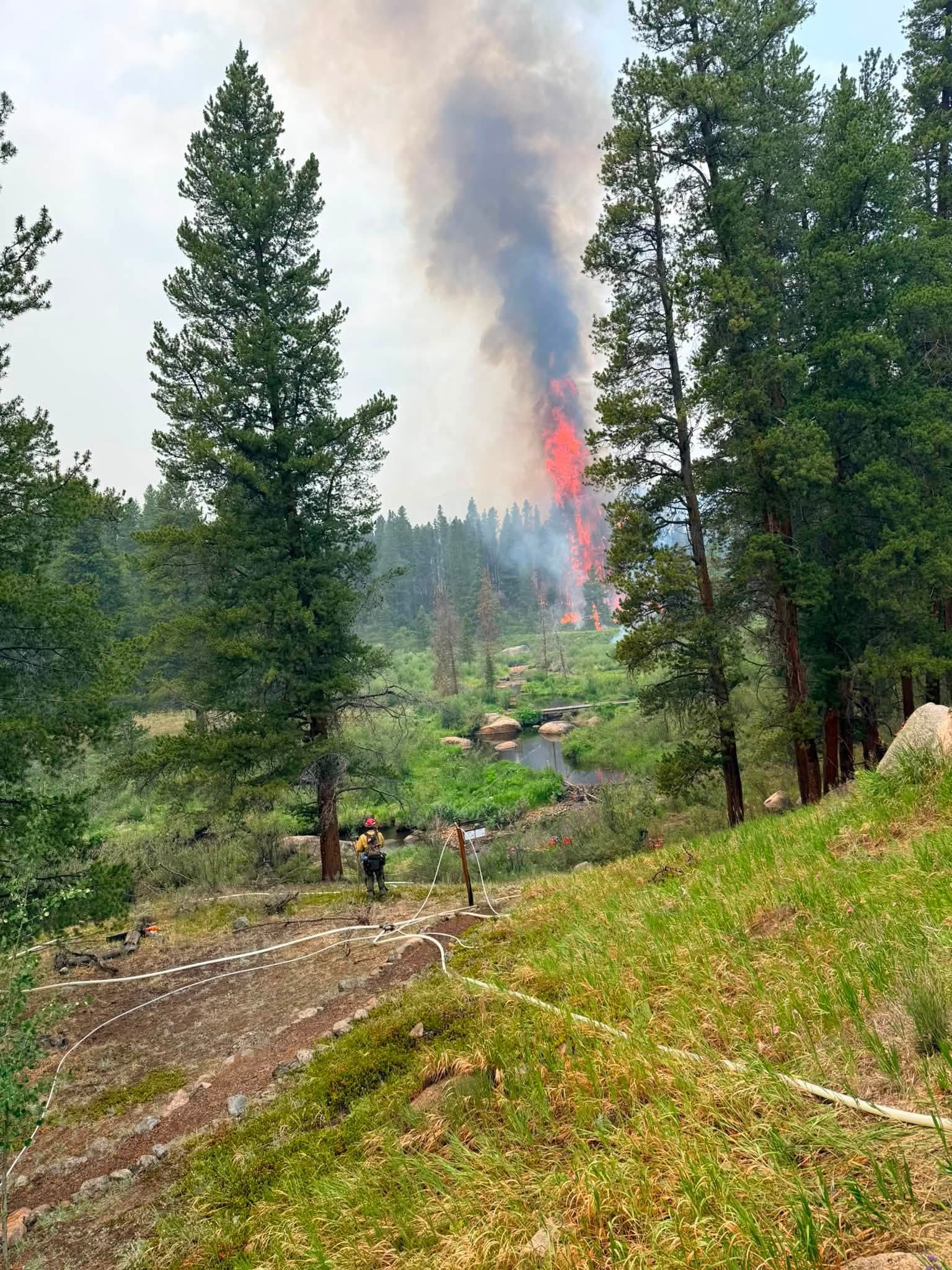 Front Range Firefighters Help Battle Growing Willow Fire