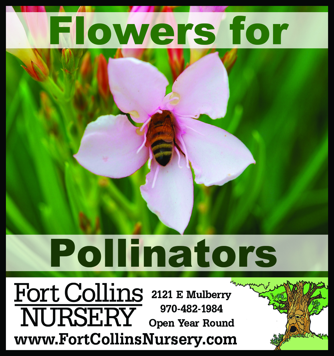 FCNad_062725_Pollinators_(1) (1)