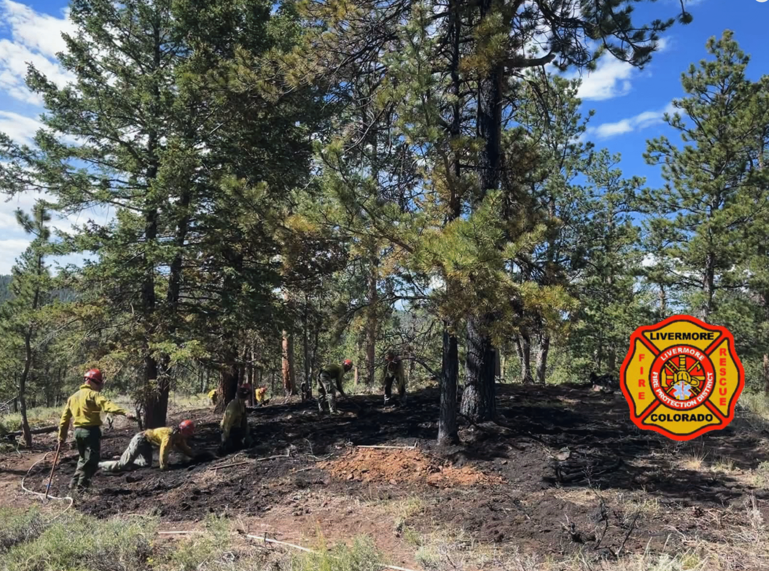 Lightning Sparked Diamond Fire Quickly Contained Near Livermore