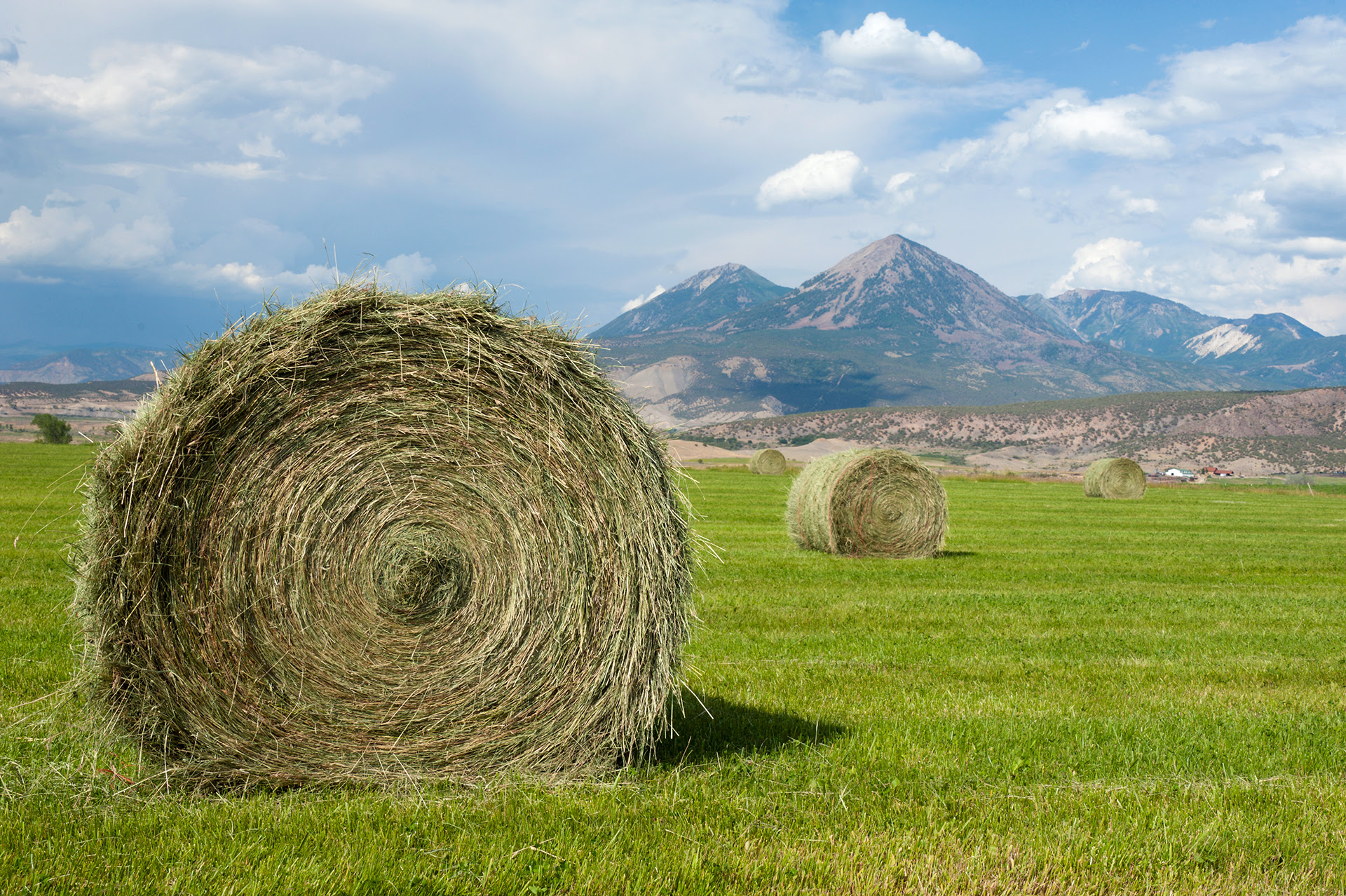 CSU Study Finds Mountain Hayfields Can Improve Water Quality