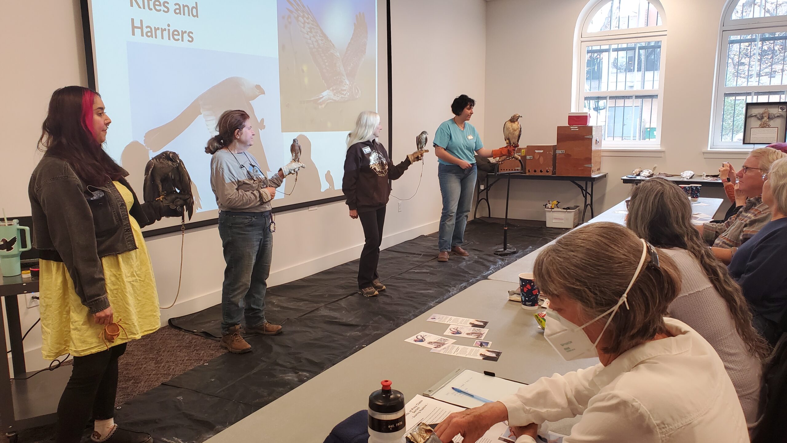 Rocky Mountain Raptor Program Opens Registration for Birds of Prey Classes