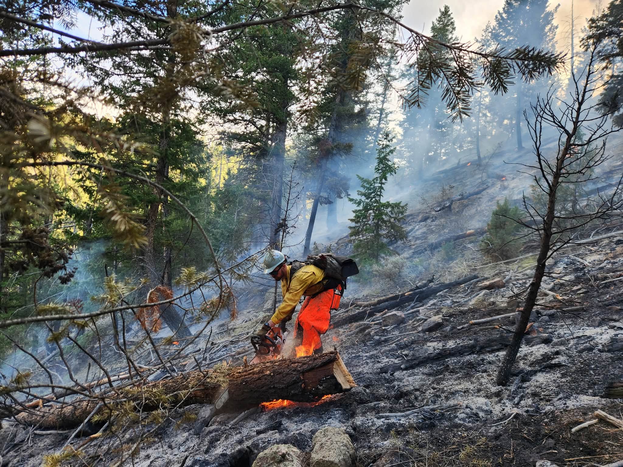 Dadd Gulch Fire Reaches 100% Containment