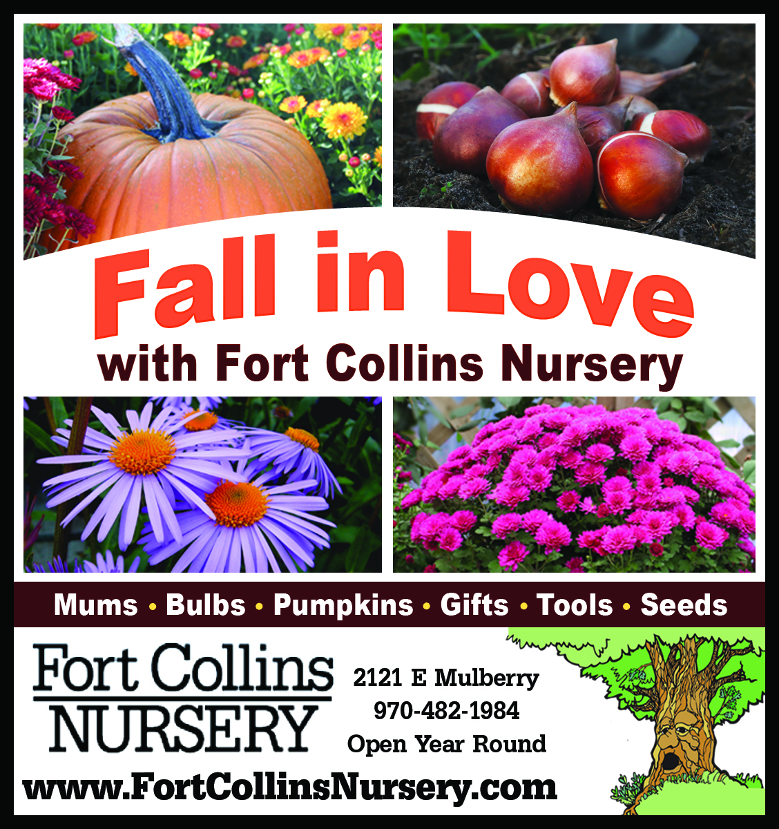 FCNad_092526_Fall