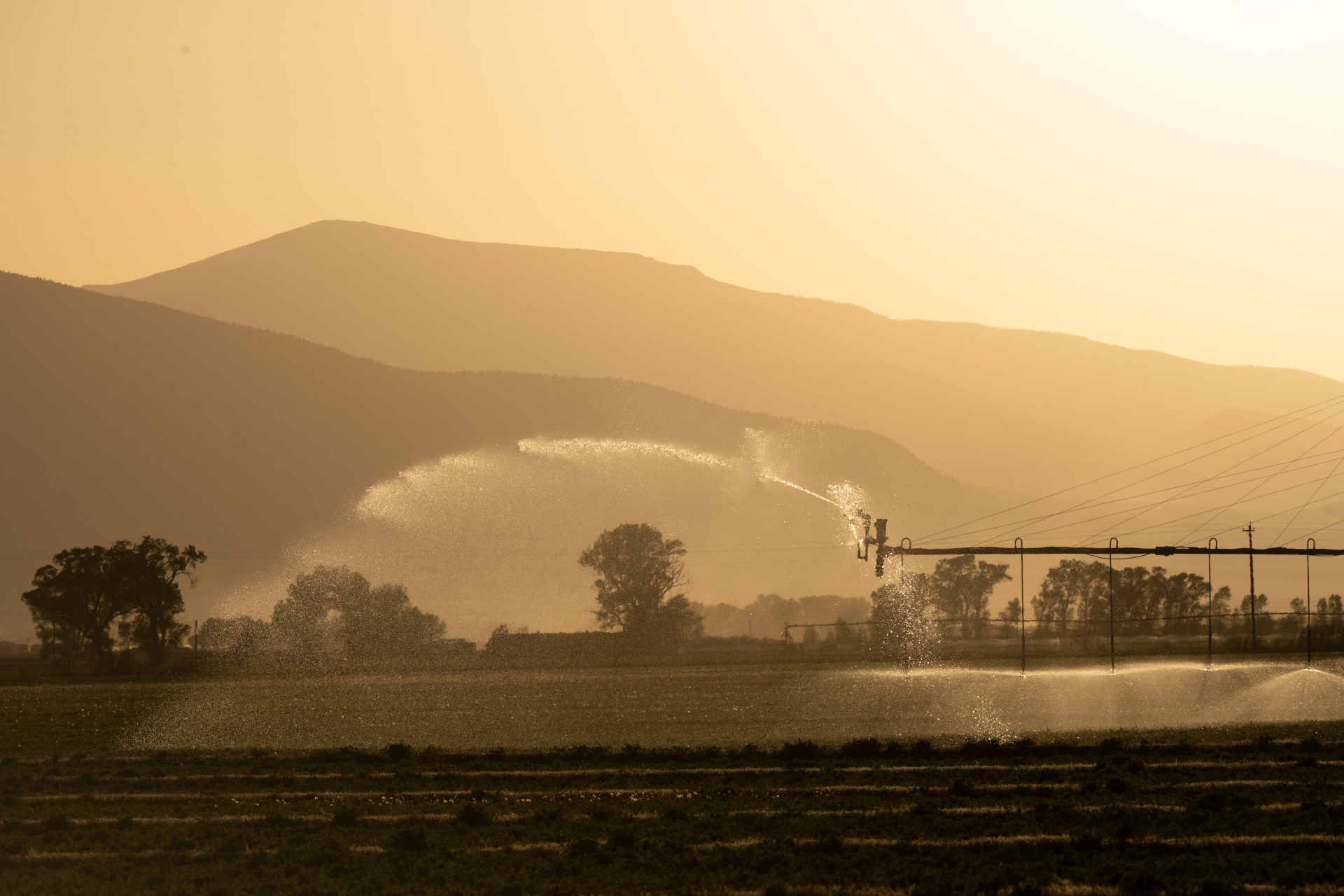 CSU Study Finds Irrigation Provides Major Climate Benefit