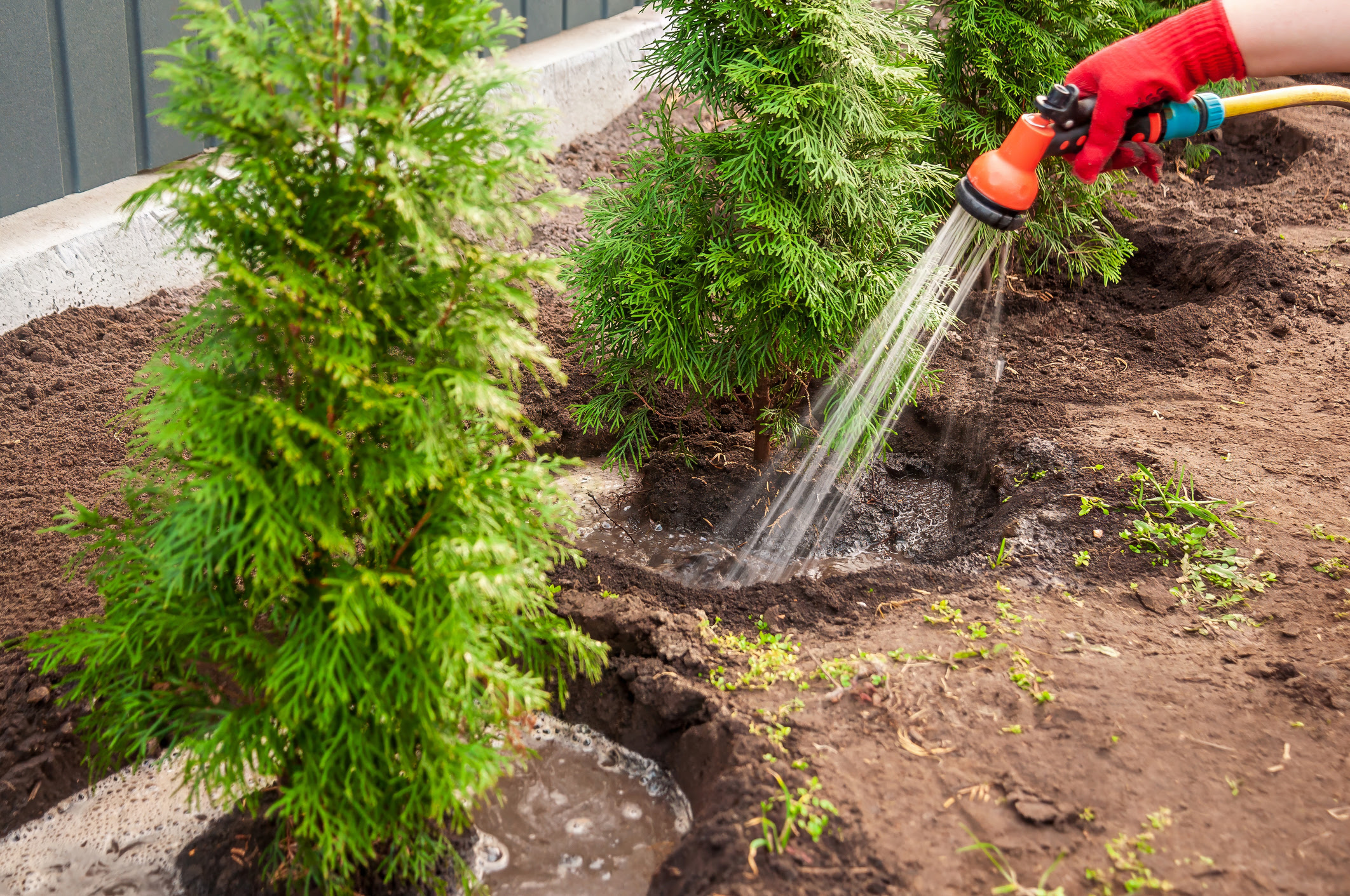 CSU Experts Share 8 Ways to Prepare Yards for Winter