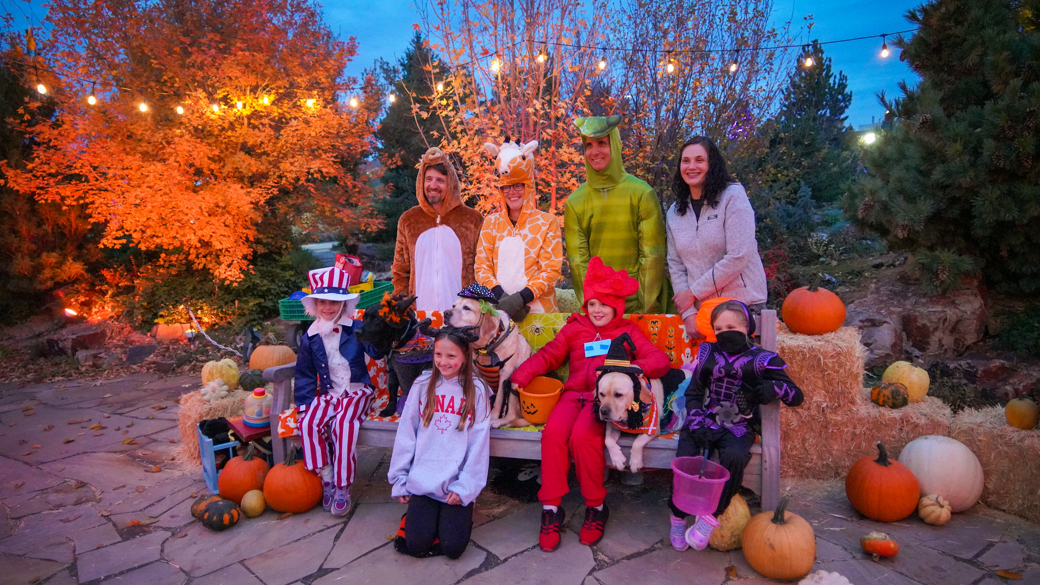 Local Artists Transform Fort Collins Gardens for Pumpkins on Parade