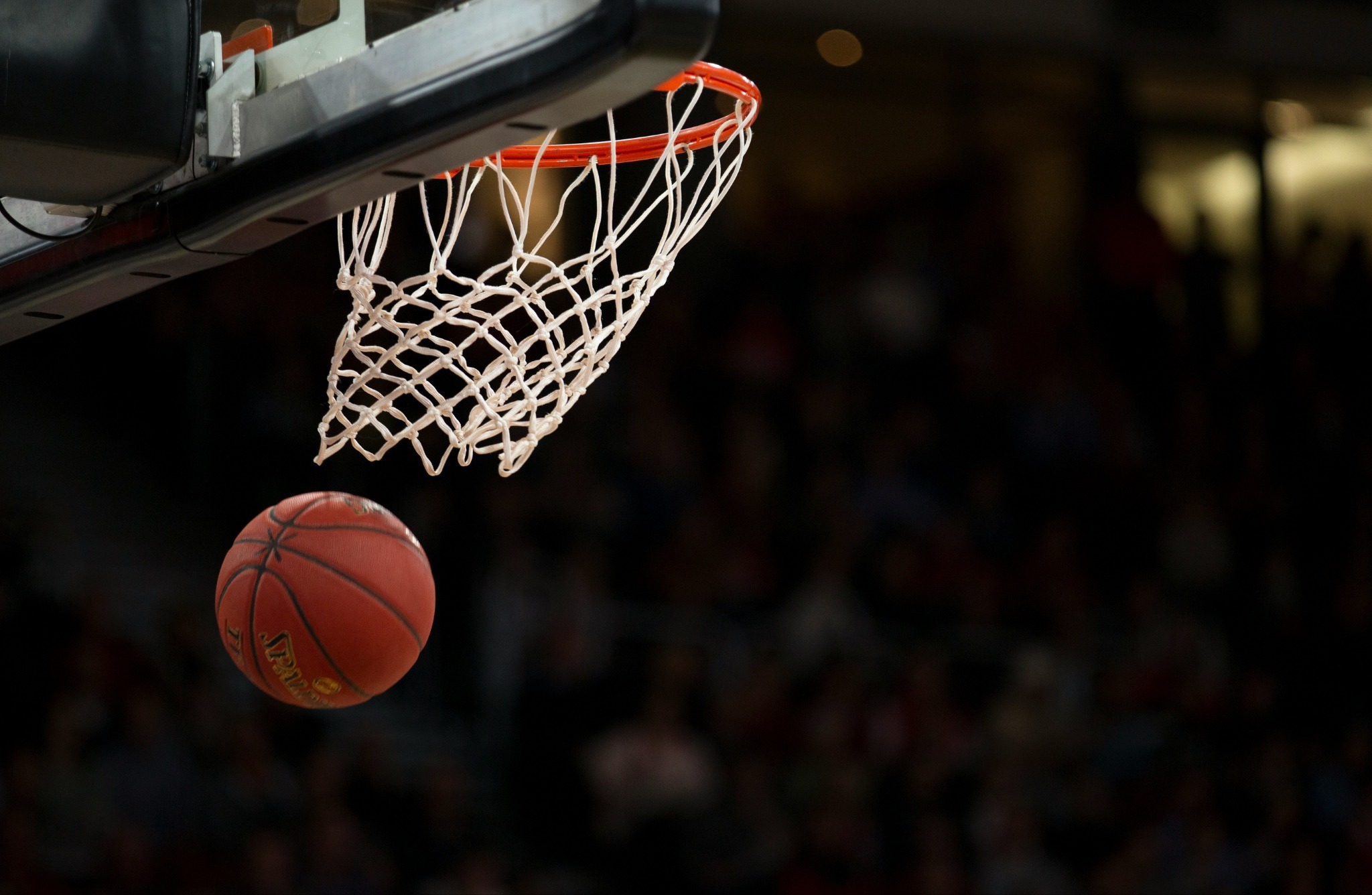 Basketball Fandom Now Lives Between the Arena, Phone and Group Chat