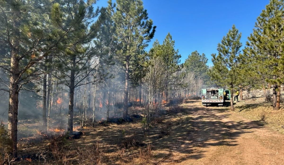 Prescribed Burns Could Begin Near Red Feather Lakes and Rustic This Weekend