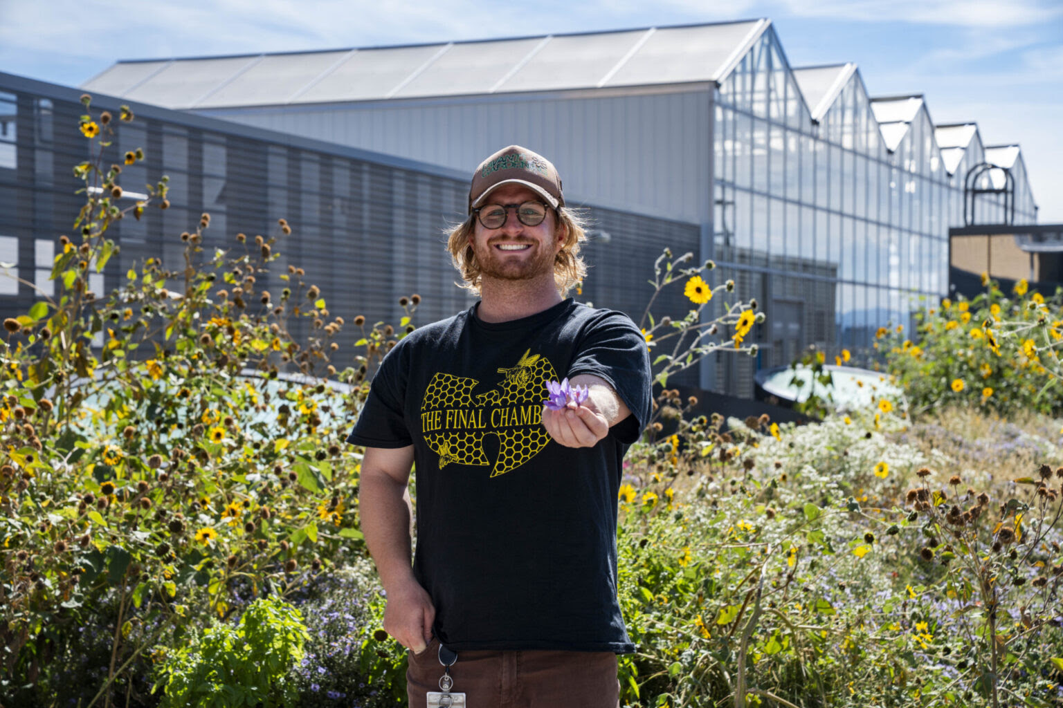 Colorado State University Explores Saffron as New Income Opportunity for Farmers