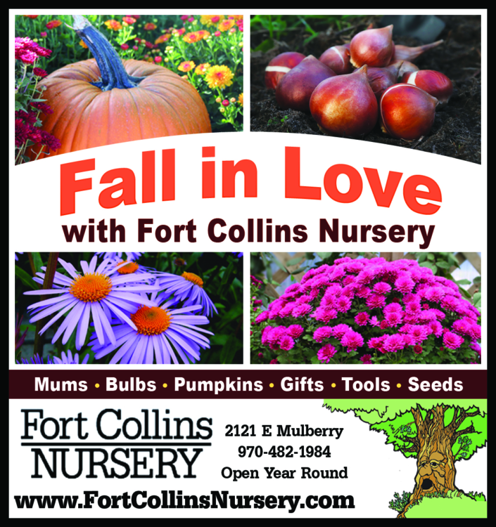 FCNad_092526_Fall-fit-900×750-insertion-169346