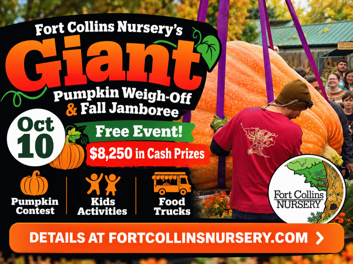 Giant-Pumpkin-Weigh-Off-Fall-Jamboree-fit-1200×900-insertion-169349